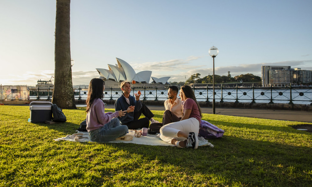 Picnic with a view of the Opera house